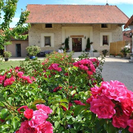 La Besace Bed & Breakfast Sainte-Croix  Екстериор снимка